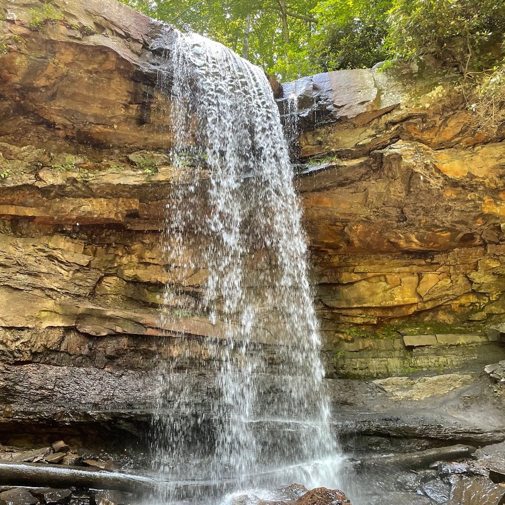 Meet your TOP rated Posher, Carol